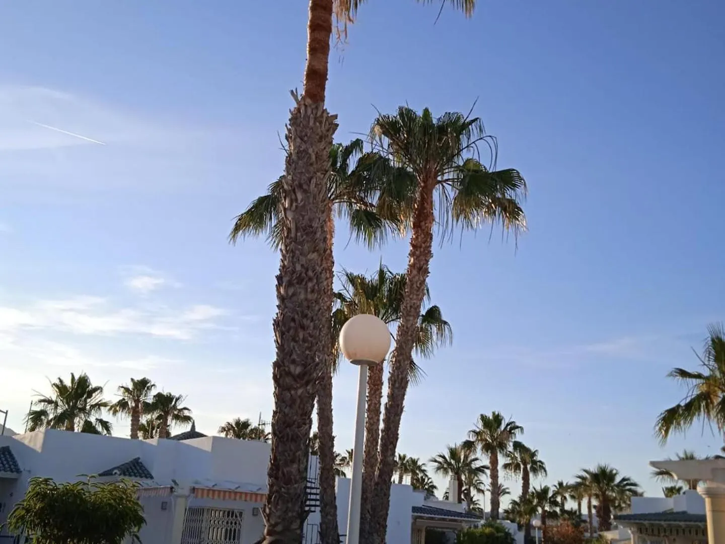 As055 Cosy 2 Bedroom In The Green Palm Tree Oasis