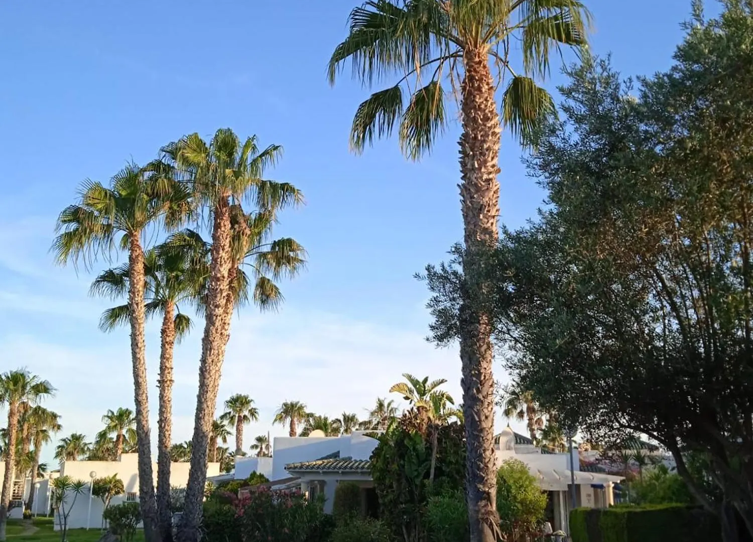 Holiday home As055 Cosy 2 Bedroom In The Green Palm Tree Oasis Spain